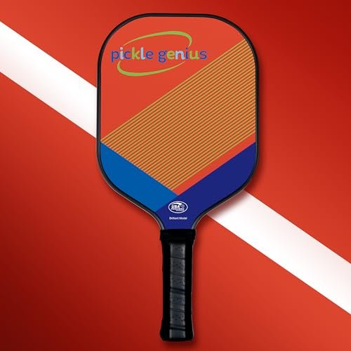 Pickleball Paddle-All The Features of $150 Paddles, for...